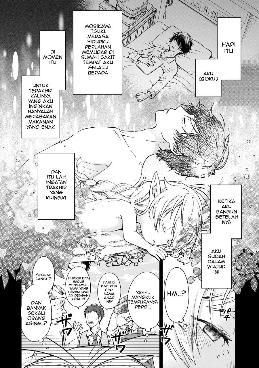Elf-san no Mahou Ryouriten: Yousei Joou to shite Tensei Shita keredo, Mazu wa Nonbiri Oryouri Tsukurimakurimasu! Chapter 1 halaman 13